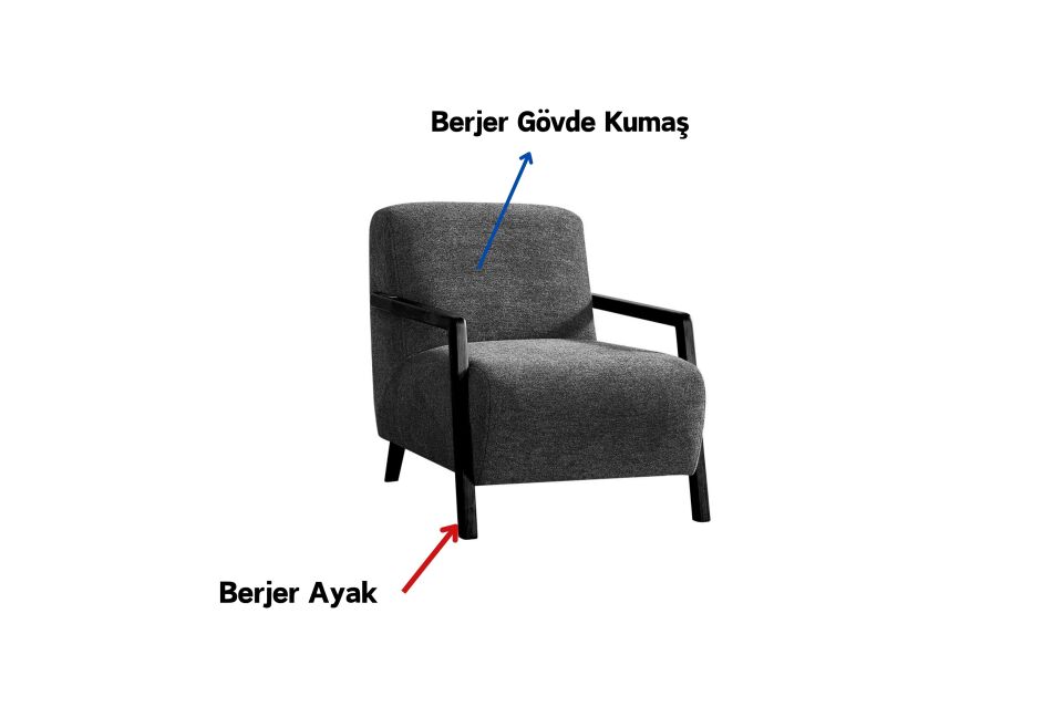 Relax Modern Berjer